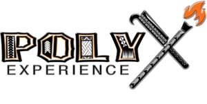 Poly Experience